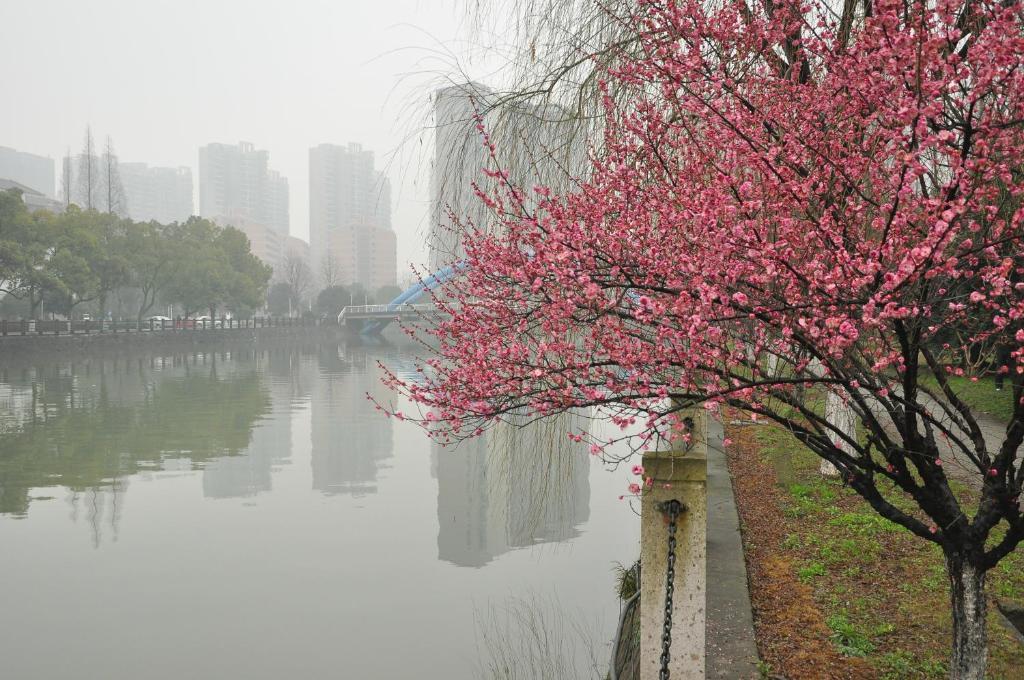 Zhejiang Xiangyuan Hotel Hangzhou Exterior foto